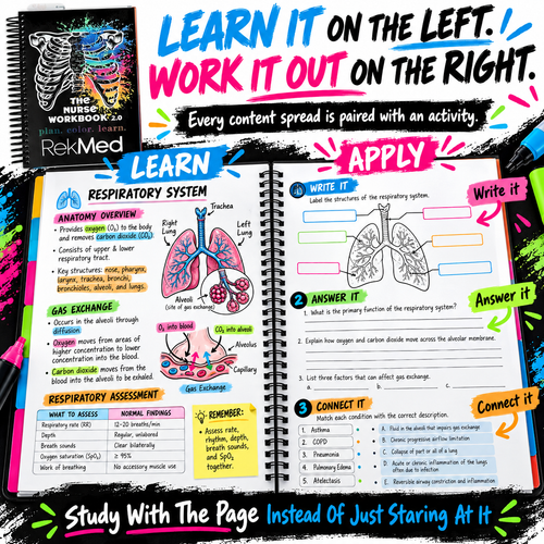 The Nurse Workbook 2.0 Paperback