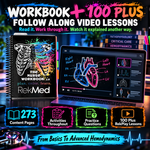 The Nurse Workbook 2.0 Paperback